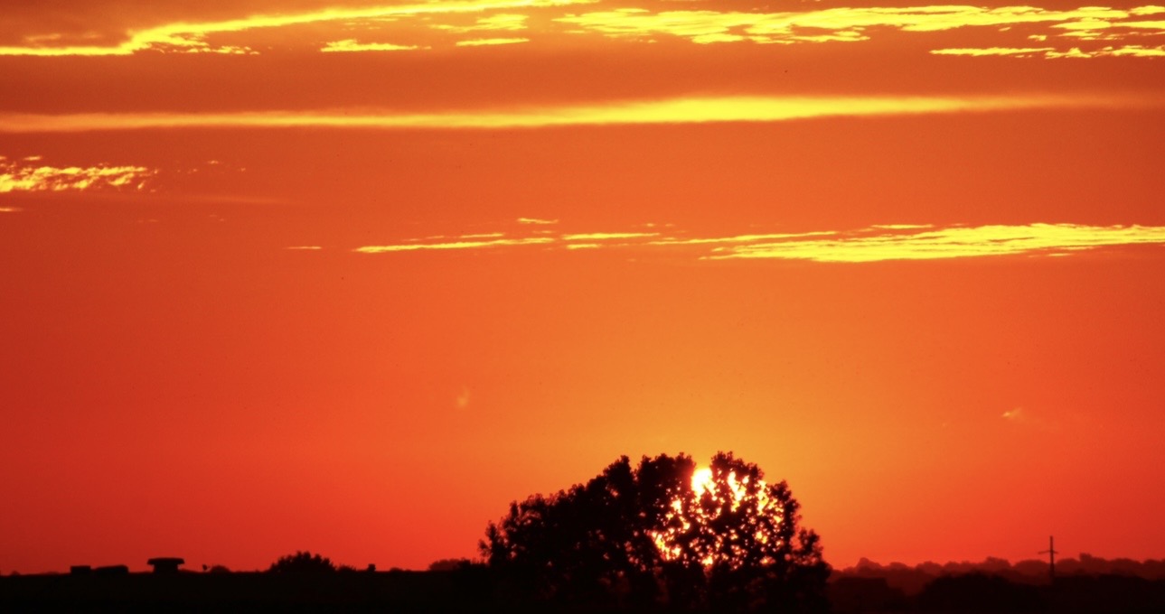 A vivid orange Nebraska sunset glowing behind a tree